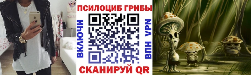 omg ТОР  Костерёво  Псилоцибиновые грибы мицелий 